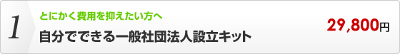 自分でできる一般社団法人設立キット とにかく費用を抑えたい方におすすめです。